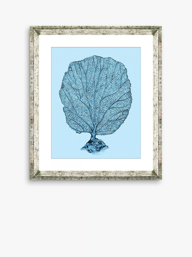 Brookpace Lascelles blue coral framed print 46x36cm, imported from the UK