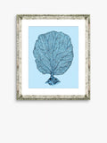 Brookpace Lascelles blue coral framed print 46x36cm, imported from the UK