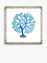 John Lewis Brookpace Lascelles Blue Seaweed 4 Framed Print 46 x 46cm, Blue- Buy online at McGrocer