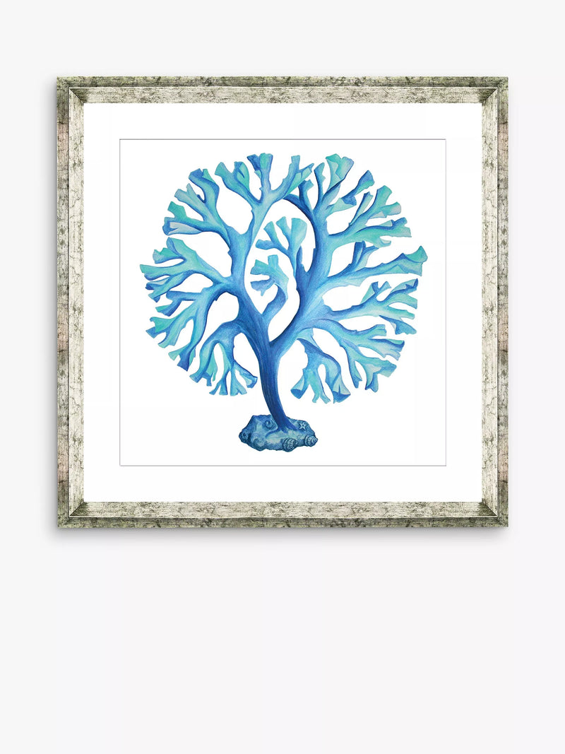 Brookpace Lascelles framed print blue seaweed 46 x 46 cm - British product