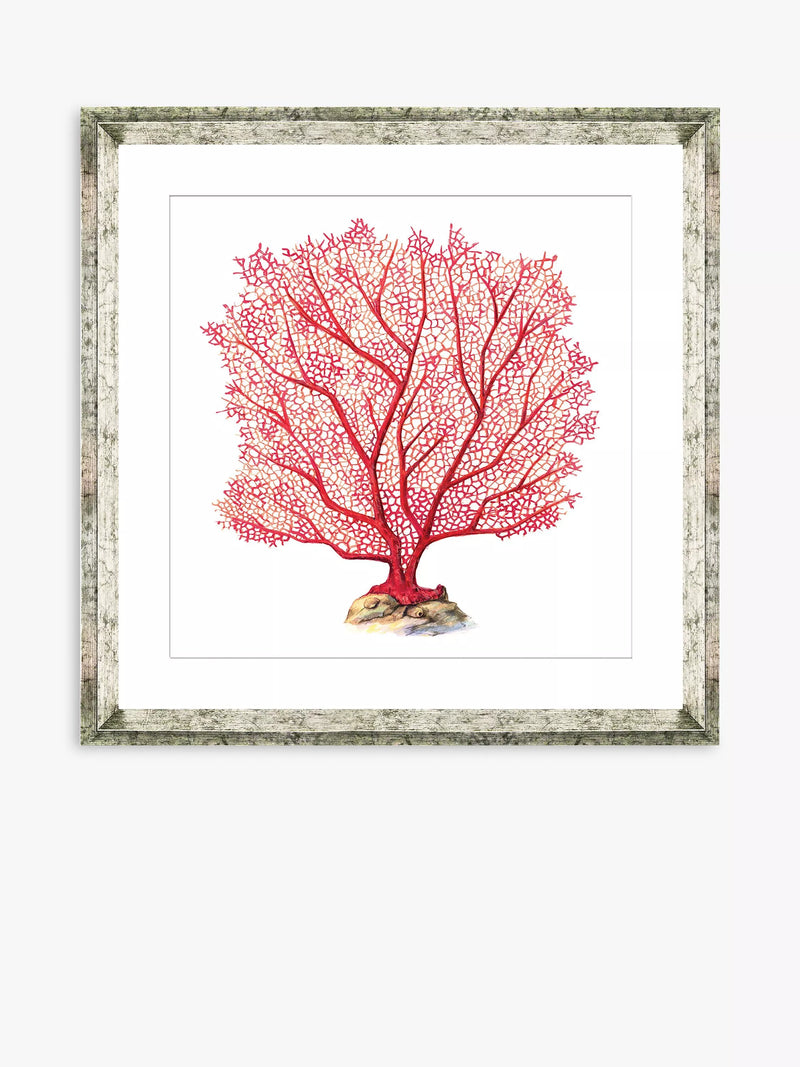 Brookpace Lascelles red coral framed print 46x46cm, UK version