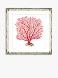 Brookpace Lascelles red coral framed print 46x46cm, UK version
