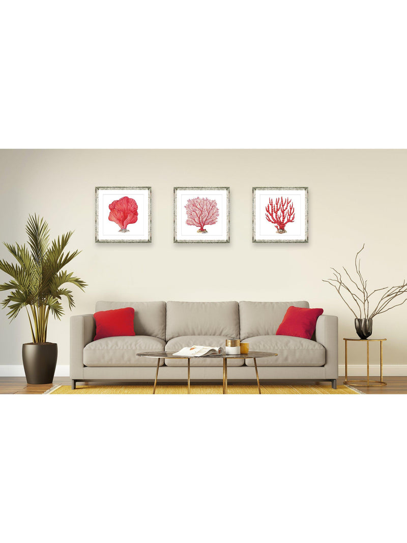 Brookpace Lascelles red coral framed print 46x46cm, UK version