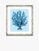 John Lewis Brookpace Lascelles Blue Coral 4 Framed Print & Mount, 46 x 36cm, Blue- Buy online at McGrocer