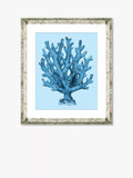 Brookpace Lascelles framed print Blue Coral 46x36cm - British product