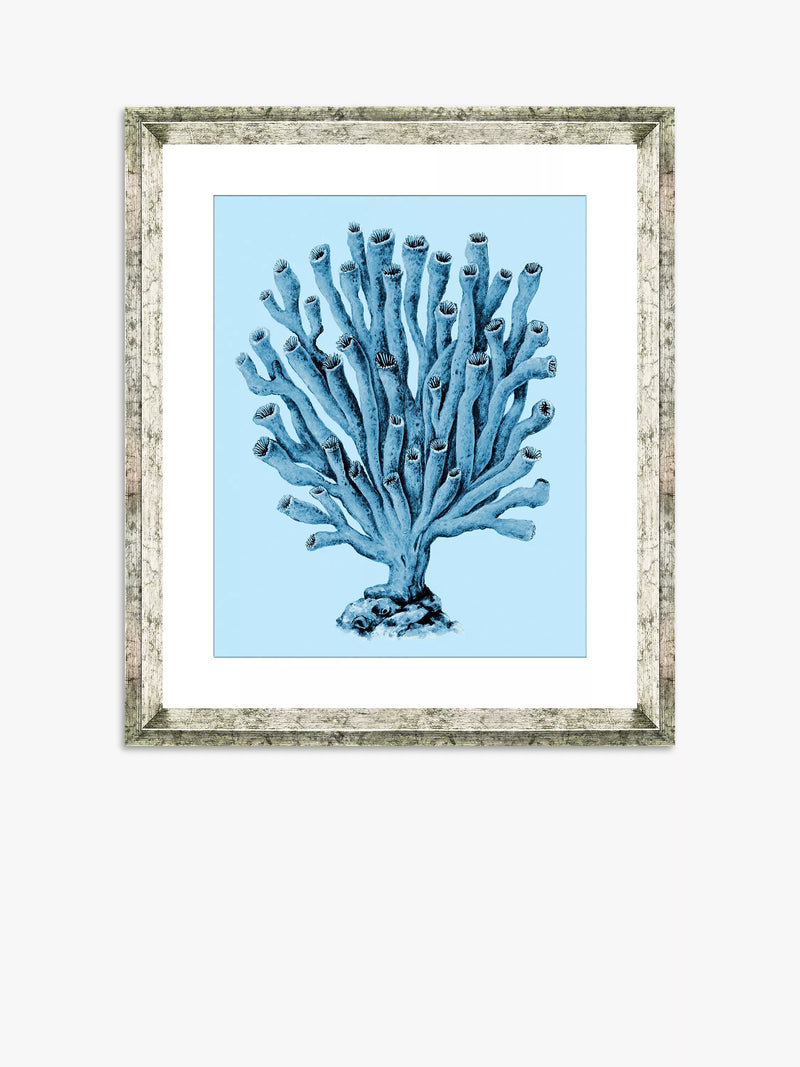 Brookpace Lascelles Blue Coral 2 framed print 46x36cm, imported from the UK