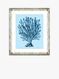 Brookpace Lascelles Blue Coral 2 framed print 46x36cm, imported from the UK