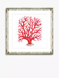 Brookpace Lascelles framed print red coral 46x46cm, imported from the UK