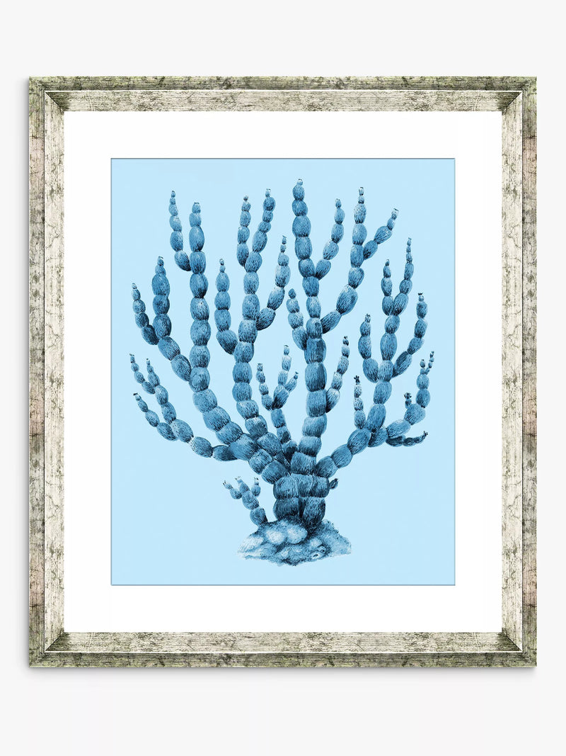 Brookpace Lascelles blue coral framed print 46x36cm (British brand)