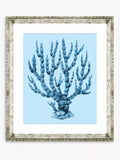 Brookpace Lascelles blue coral framed print 46x36cm (British brand)