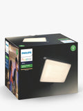 Philips Hue floodlight black, UK version