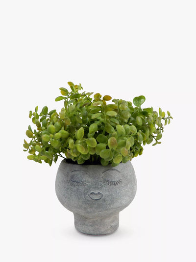John Lewis John Lewis Artificial Eucalyptus Bush in Stone Planter- Buy online at McGrocer