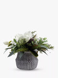 John Lewis artificial magnolia and pine cone in cement planter, UK version