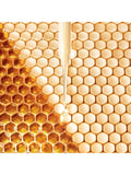 Guerlain Abeille Royale anti-pollution cleansing oil 150ml, imported from the UK
