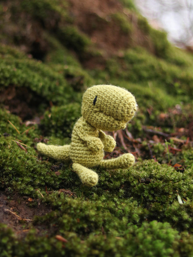 TOFT Mini Gregor T-Rex crochet kit, small toy (British brand)