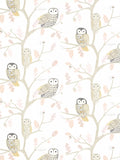 Harlequin Little Owls Wallpaper, HLTF112628
