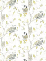 John Lewis Harlequin Little Owls Wallpaper- Buy online at McGrocer