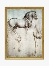 John Lewis Brookpace Lascelles Leonardo da Vinci Study of Horse Wood Framed Art Print, Natural/Gold, 21 x 16cm- Buy online at McGrocer