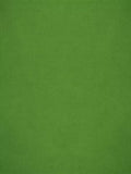 Designers Guild Velluto Furnishing Fabric, Emerald