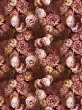 Designers Guild Vespertina fabric floral print cotton, imported from the UK