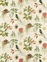 John Lewis Sanderson Paradesia Furnishing Fabric- Buy online at McGrocer