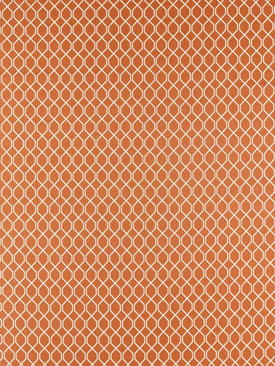 John Lewis Sanderson Botanic Trellis Furnishing Fabric, Blue Clay- Buy online at McGrocer
