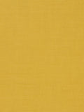 Morris & Co. Ruskin Weaves Furnishing Fabric
