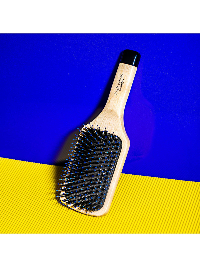 Sisley-Paris hairbrush for all hair types (British brand)