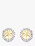 IBB gold stud earrings life tree cubic zirconia, imported from the UK