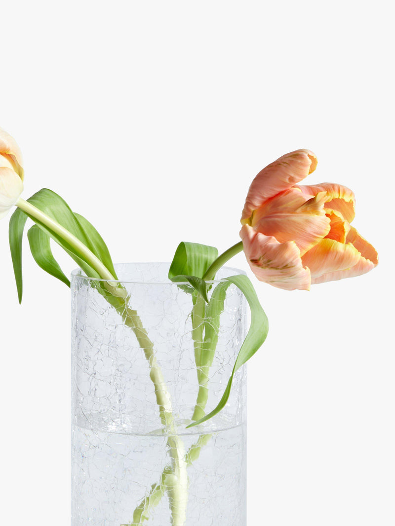 John Lewis ANYDAY Crackle Cylinder Vase Clear, UK version