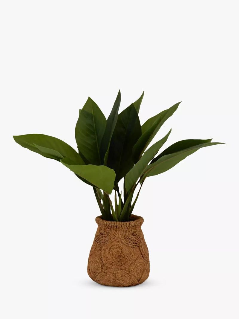 John Lewis artificial banana leaf plant in ceramic basket, UK version