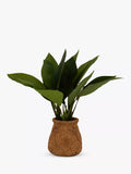 John Lewis artificial banana leaf plant in ceramic basket, UK version