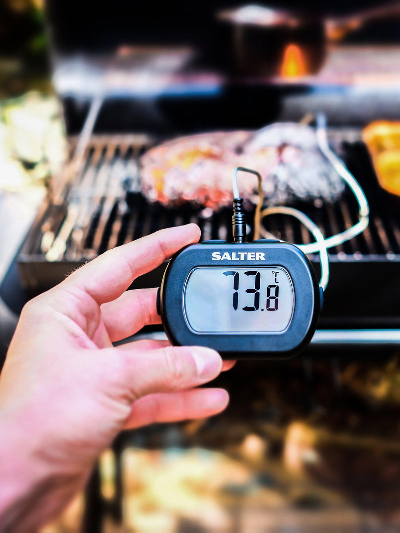 Salter leave-in cooking thermometer (British brand)