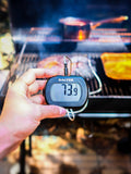 Salter leave-in cooking thermometer (British brand)