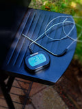 Salter leave-in cooking thermometer (British brand)