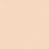 DIOR Forever Natural Nude Foundation - McGrocer