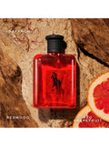 Ralph Lauren Polo Red Eau de Toilette 125ml - British product