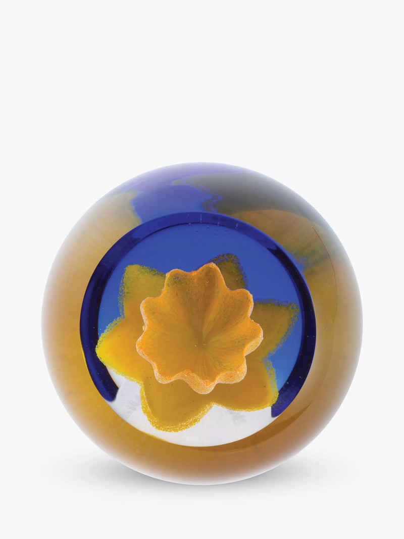 Caithness daffodil paperweight H6.5cm x Dia.6.5cm, imported from the UK