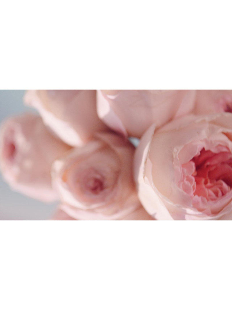 Estée Lauder Beautiful Magnolia Eau de Parfum - British product