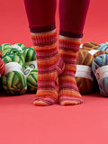 West Yorkshire Spinners Seasons Signature 4 Ply knitting pattern book - British product