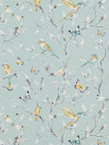 John Lewis hummingbird trees wallpaper H10x52cm, imported from the UK