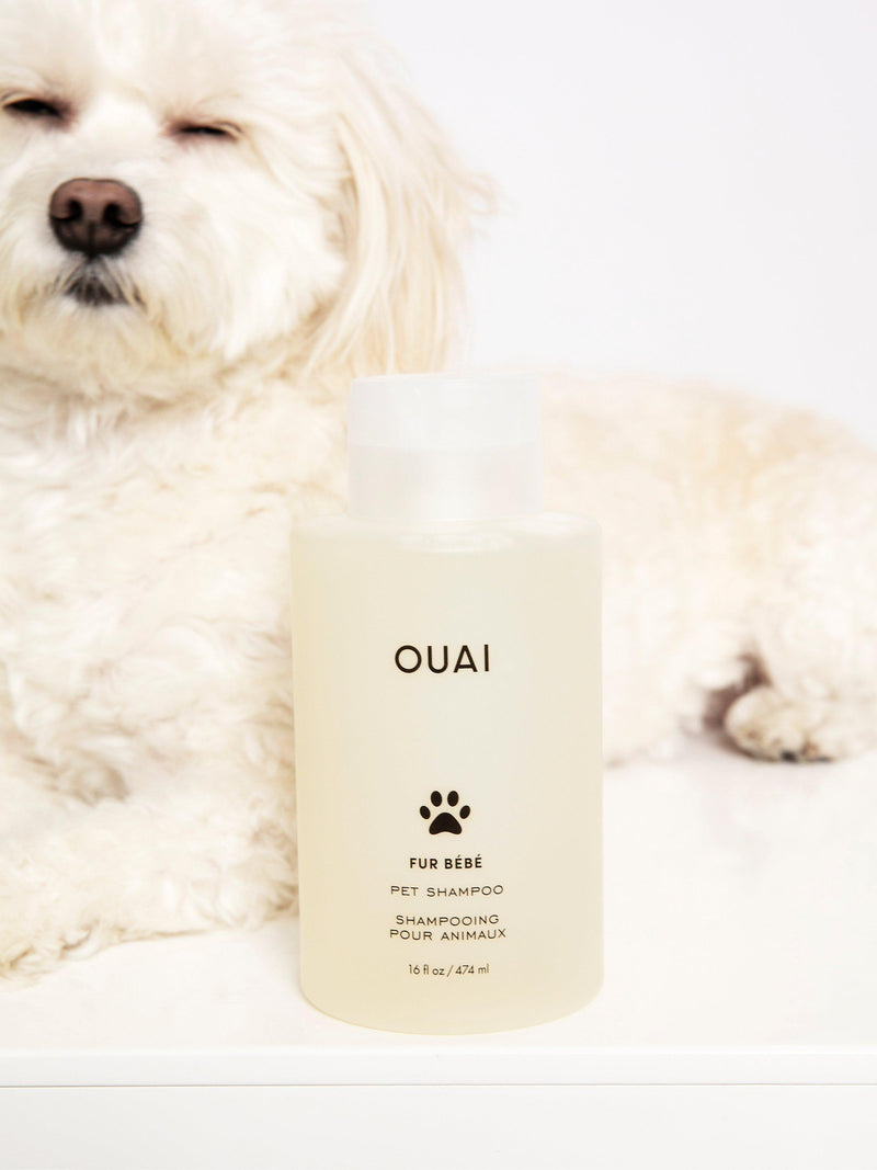 OUAI Fur Bébé Pet Shampoo 474ml, imported from the UK