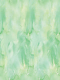 Cricut Infusible Ink transfer sheets green watercolour 2-pack 4.5x12 inches (British brand)
