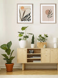 Brookpace Lascelles botanical leaf framed print 57x47cm, UK version