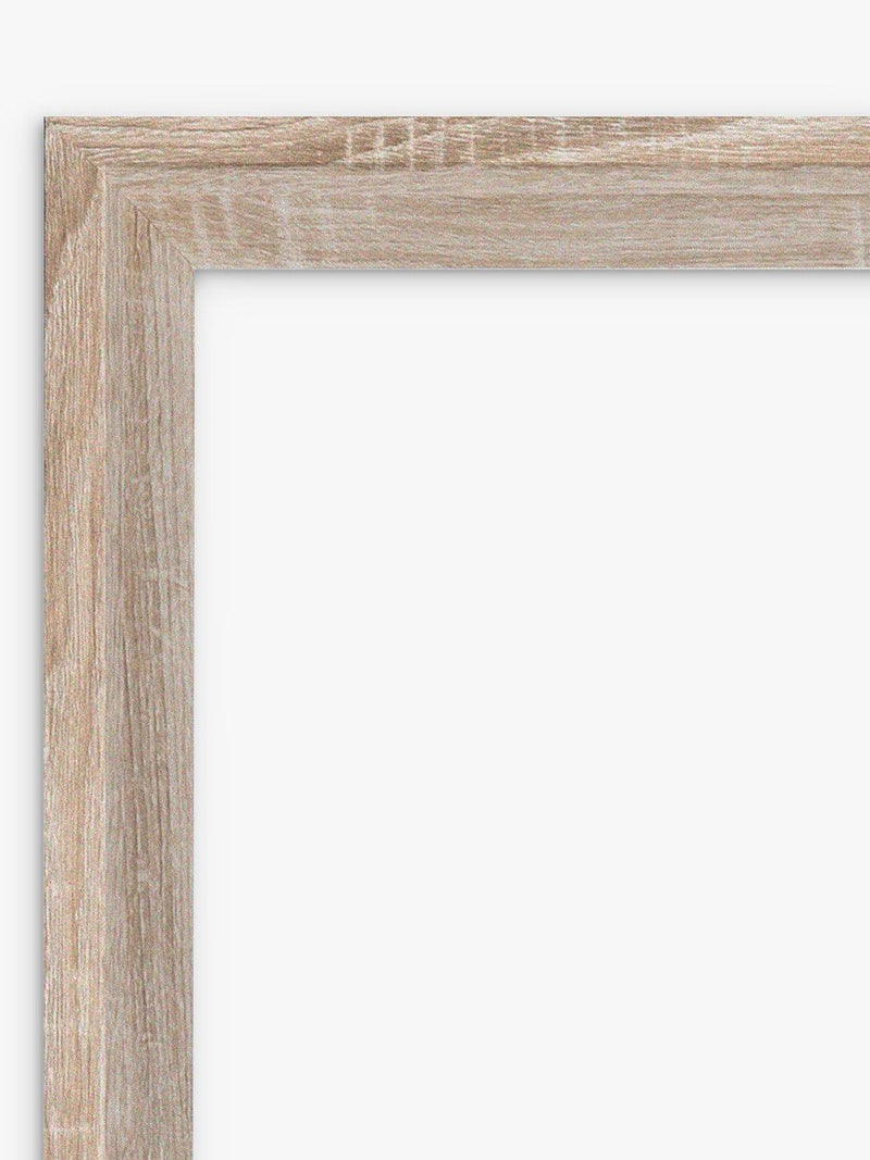 Brookpace Lascelles botanical framed print Scandi brown 57x47cm (British brand)