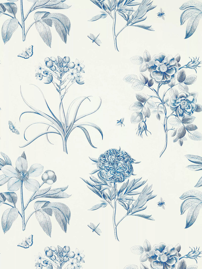 Sanderson Etchings Roses wallpaper design (British brand)