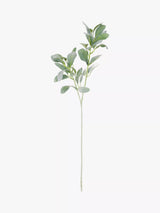 John Lewis Floralsilk Artificial Lambs Ear Foliage Spray- Buy online at McGrocer