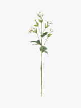 John Lewis Floralsilk Artificial Astrantia Spray White Artificial Flower Spray- Buy online at McGrocer