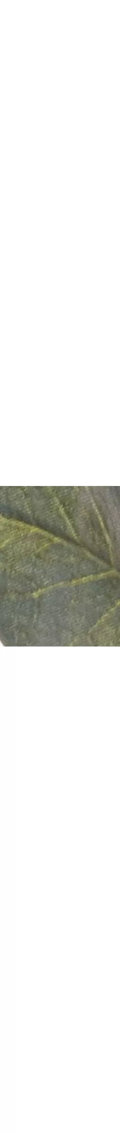 Floralsilk Artificial Eucalyptus Spray