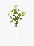 Floralsilk artificial viburnum spray cream green - British product